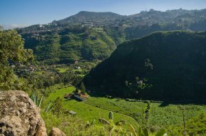 Camino Vueltas de Acero