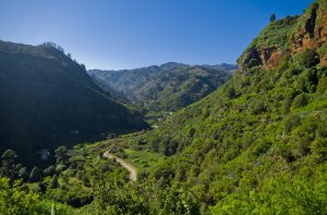 Camino Vueltas de Acero