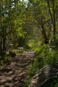 Camino Vueltas de Acero