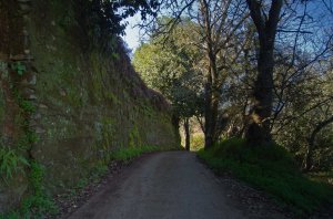 Pista entre El Tablero y Lomo El Marco