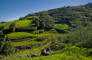 Paisaje entre El Tablero y Lomo El Marco