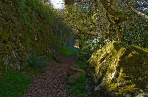 Entre Lomo El Marco y El Barranquillo