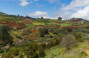 Vistas entre Llanos del Pino y La Jurada