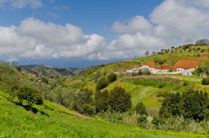 Llegando a La Jurada