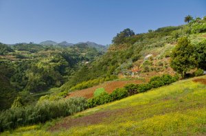 Camino de La Chinipita
