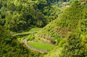 Camino de La Chinipita