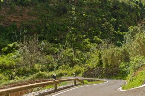 Barranco del Laurel