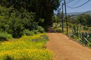 Montaña de la Corcova