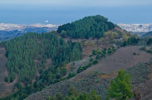 Mirador de Los Pinos de Gáldar