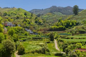Paisaje de Aguas de Fontanales (fuera del camino)