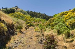 Cruce Artenara / Valleseco