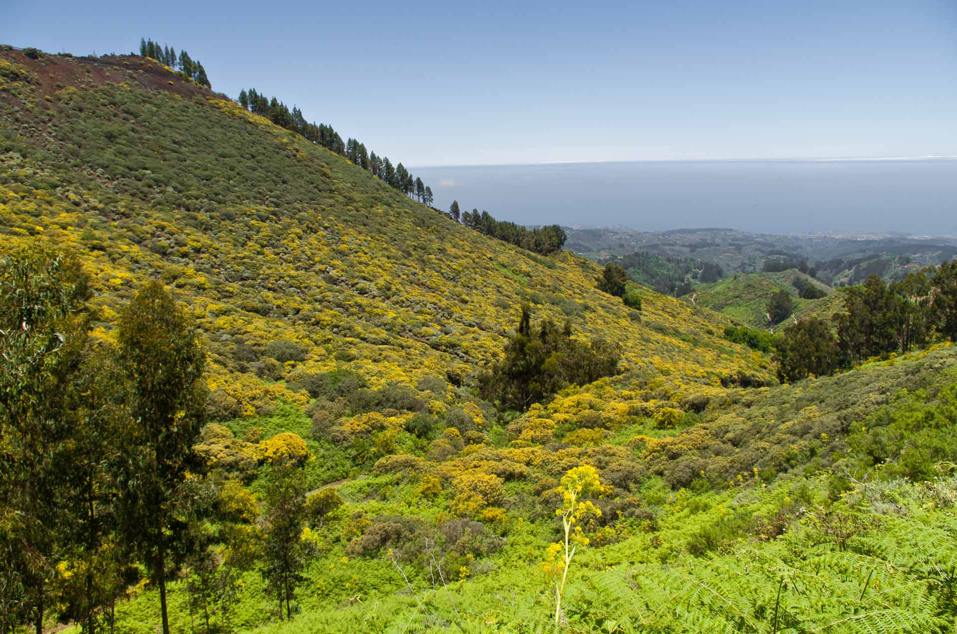 Cruce Artenara / Valleseco