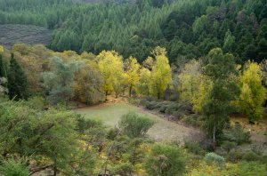 Pozo Cortijo de Piletas