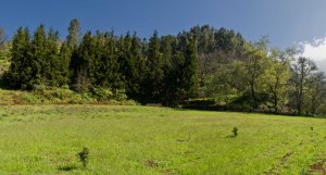 Pozo Cortijo de Piletas