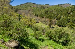 Montaña de Pajarito