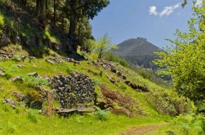 Montaña de Pajarito