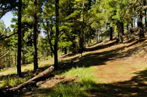 Montaña la Retamilla