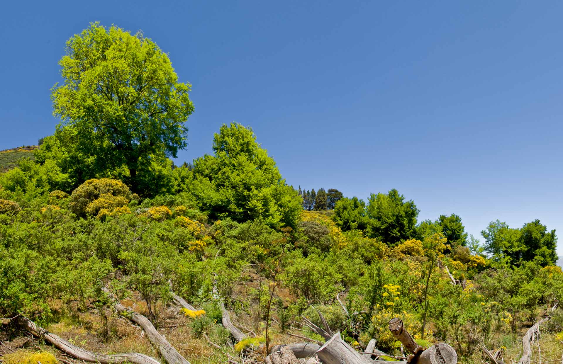 Cruce Artenara / Valleseco