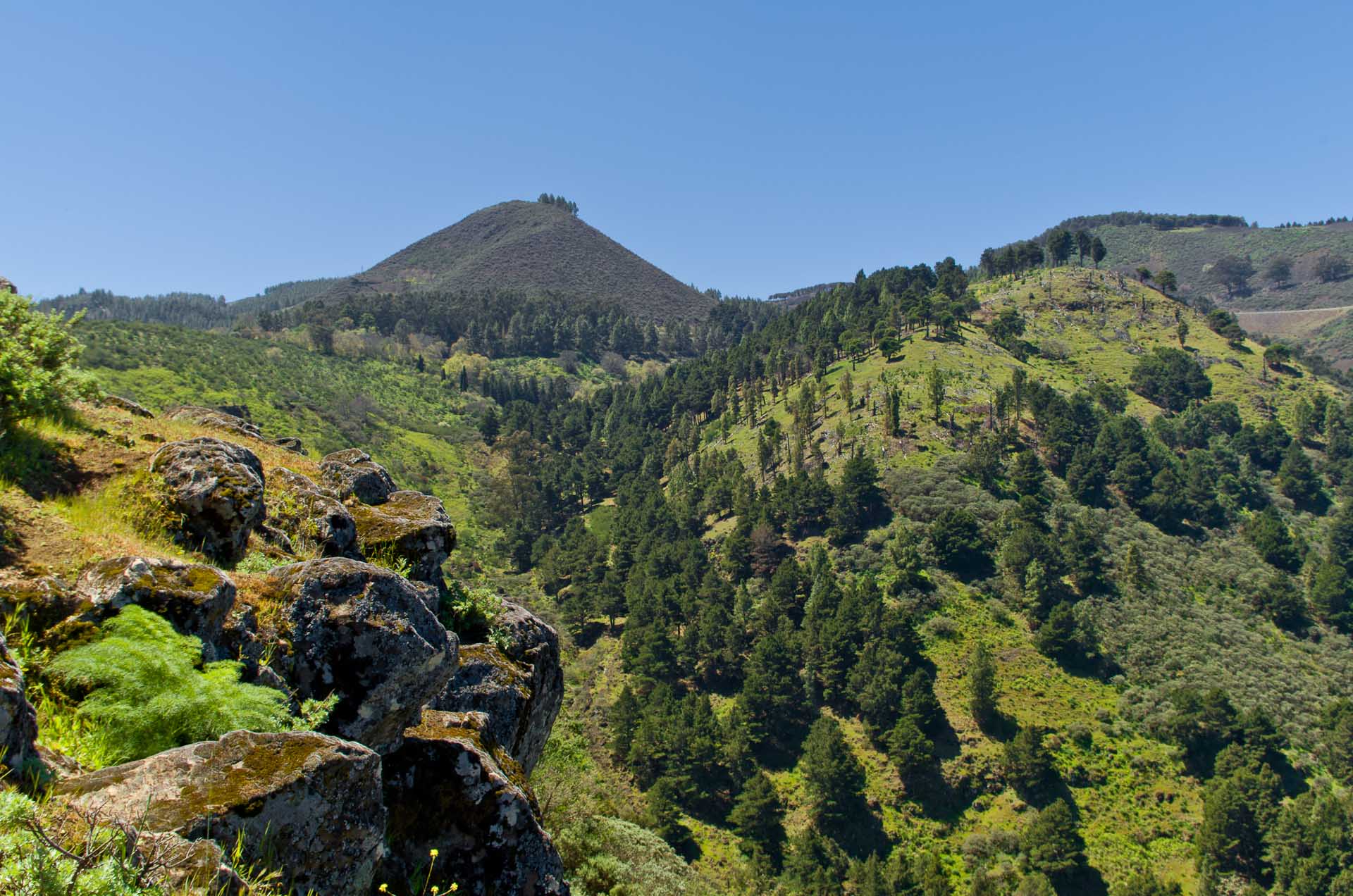 Montaña de Pajarito