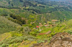 Montaña de Pajarito