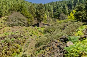 Pozo Cortijo de Piletas