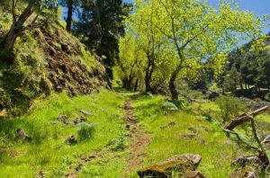 Montaña de Pajarito