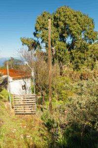 Hoya de Los Helechos