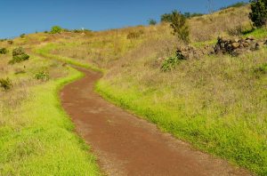Hoya de Los Helechos