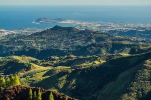 Mirador de Los Pinos de Gáldar