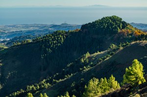 Mirador de Los Pinos de Gáldar