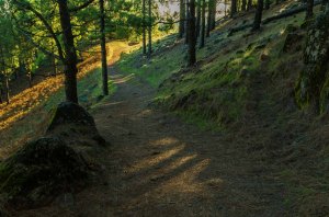 Degollada de las Palomas