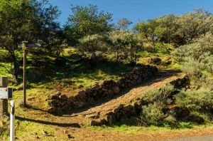 Degollada de las Palomas