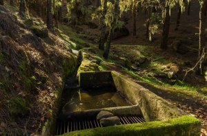 Acequia de Crespo