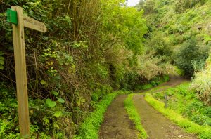 Barranco de Los Propios