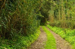 Barranco de Los Propios