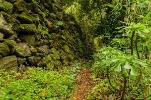 Barranco de Los Propios