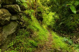 Barranco de Los Propios
