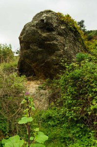 Barranco de Los Propios