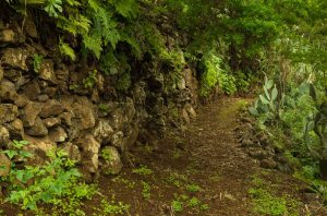 Barranco de Los Propios