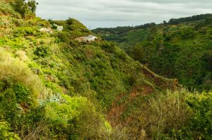 Barranco de Los Propios
