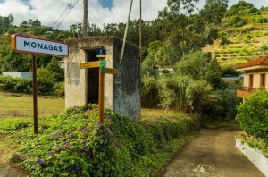 Monagas