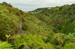 Barranco de Los Propios