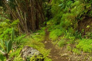 Barranco de Los Propios